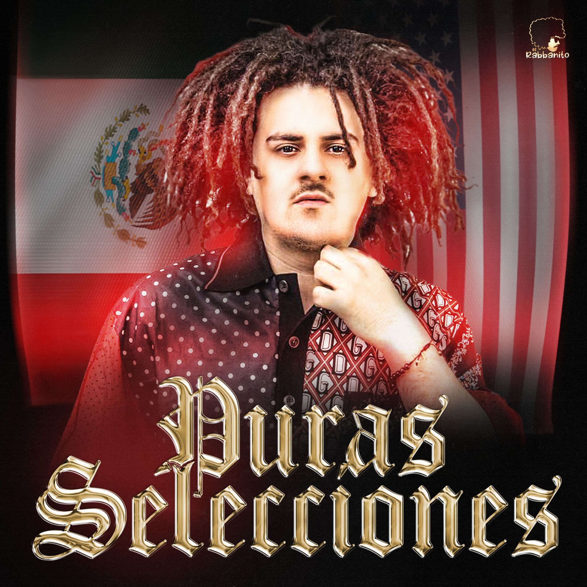 Album cover of Puras Selecciones