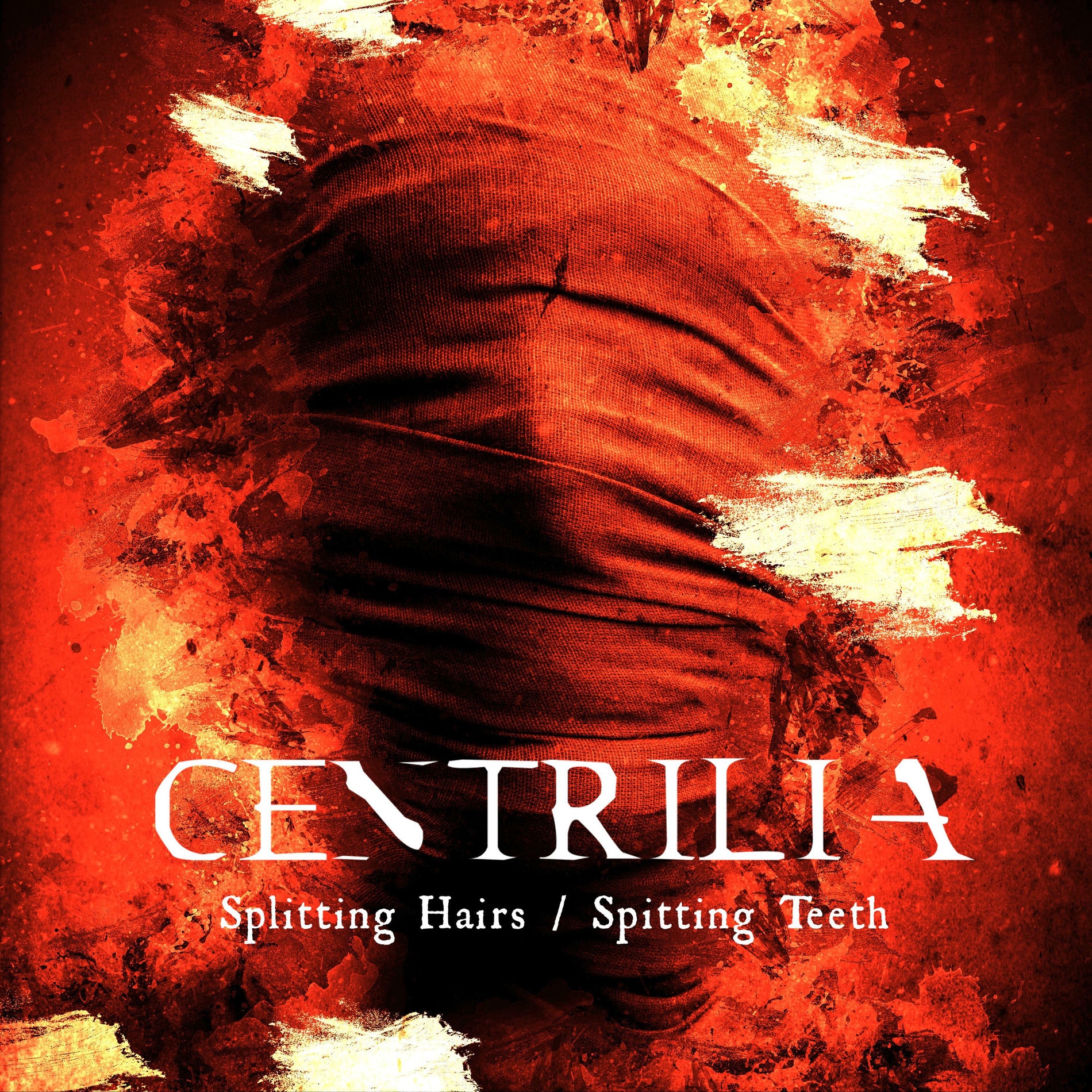 Album cover of Splitting Hairs/Spitting Teeth