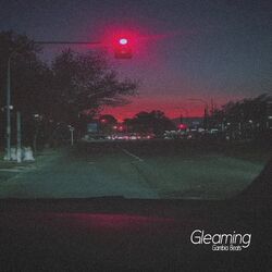 Cover of Gleaming