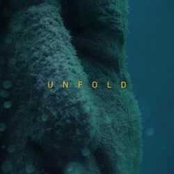 Unfold (XXIM:EXPO #2)
