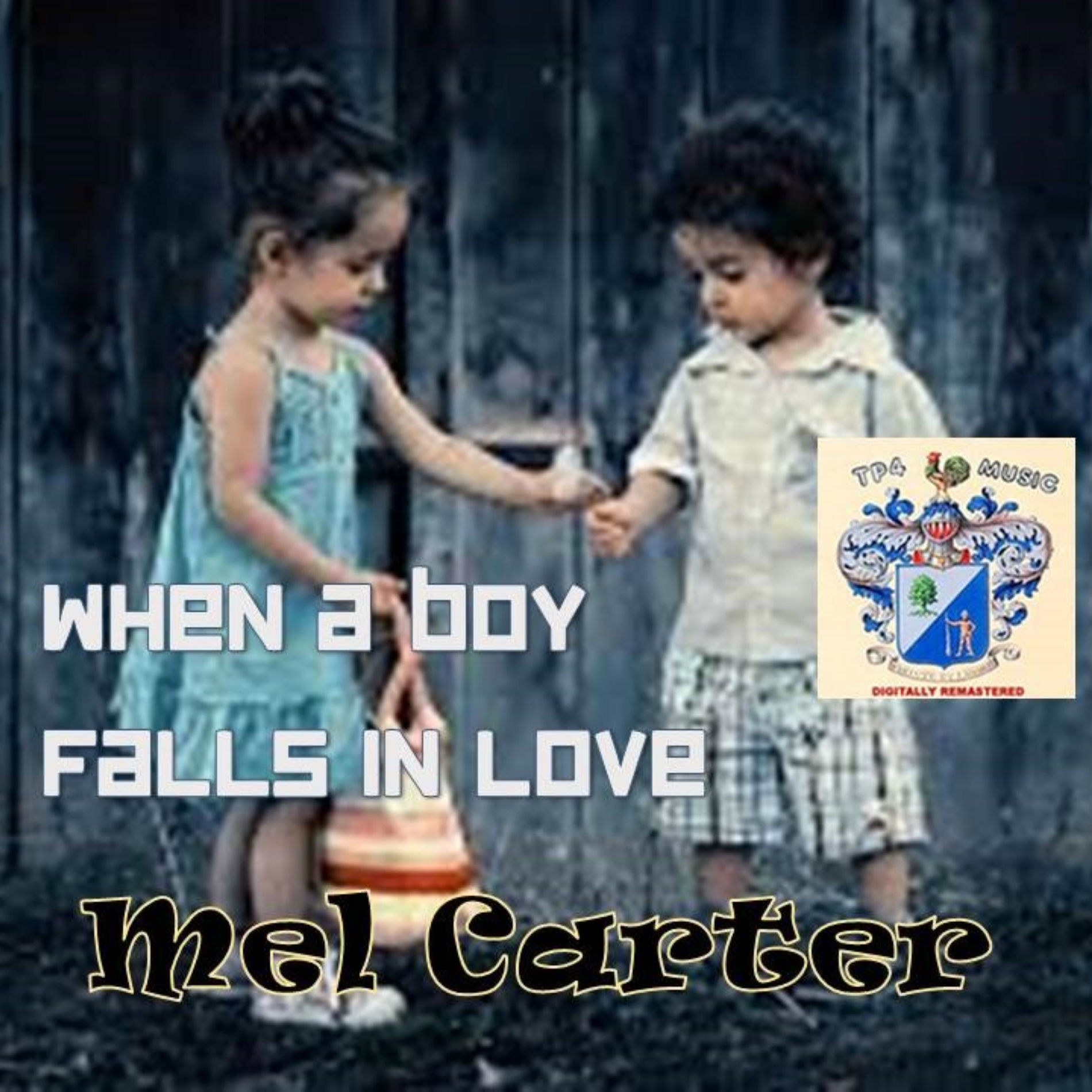 Album cover of When a boy falls in love