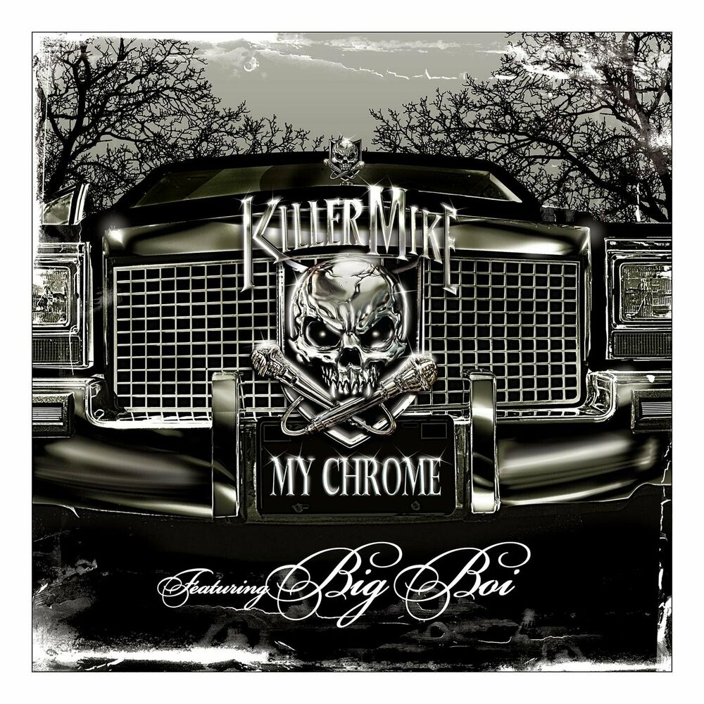 Picture of My Chrome (feat. Big Boi)