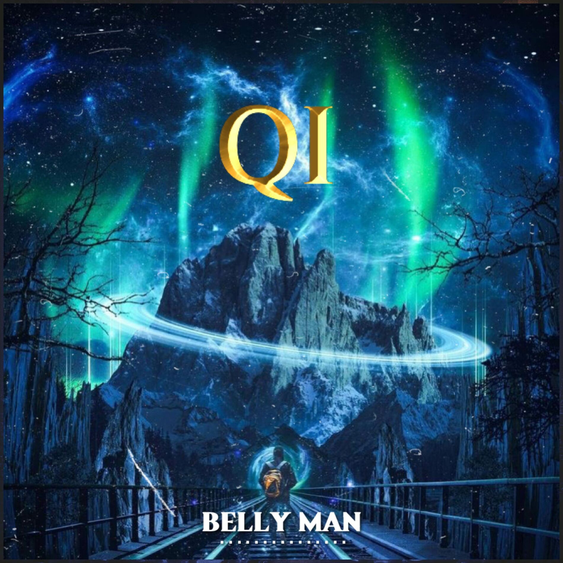 Album cover of Qi
