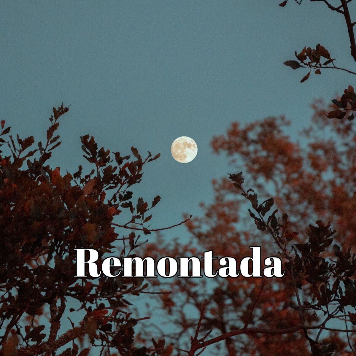 Album cover of Remontada