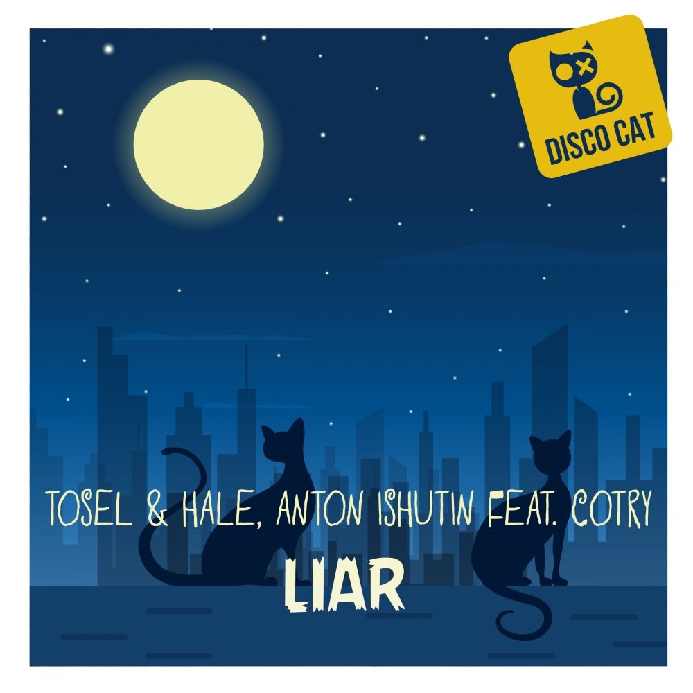 Picture of Liar