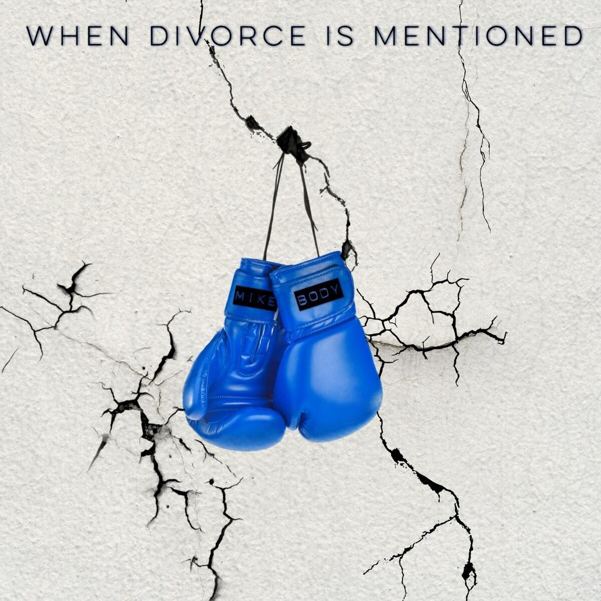 Album cover of When Divorce Is Mentioned