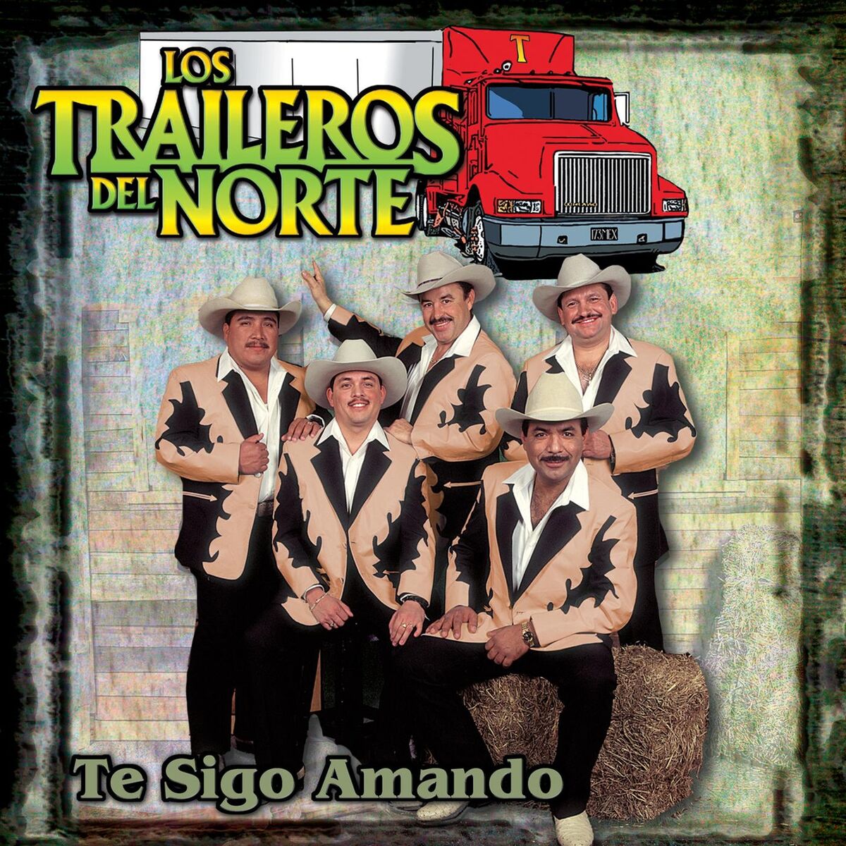Album cover of Te Sigo Amando