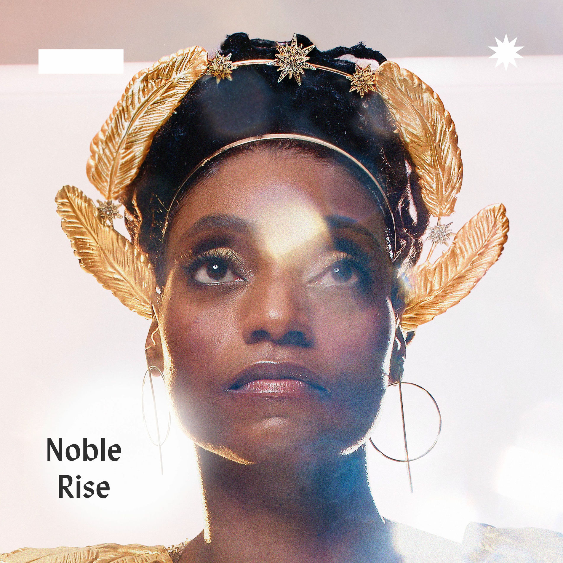 Album cover of Noble Rise