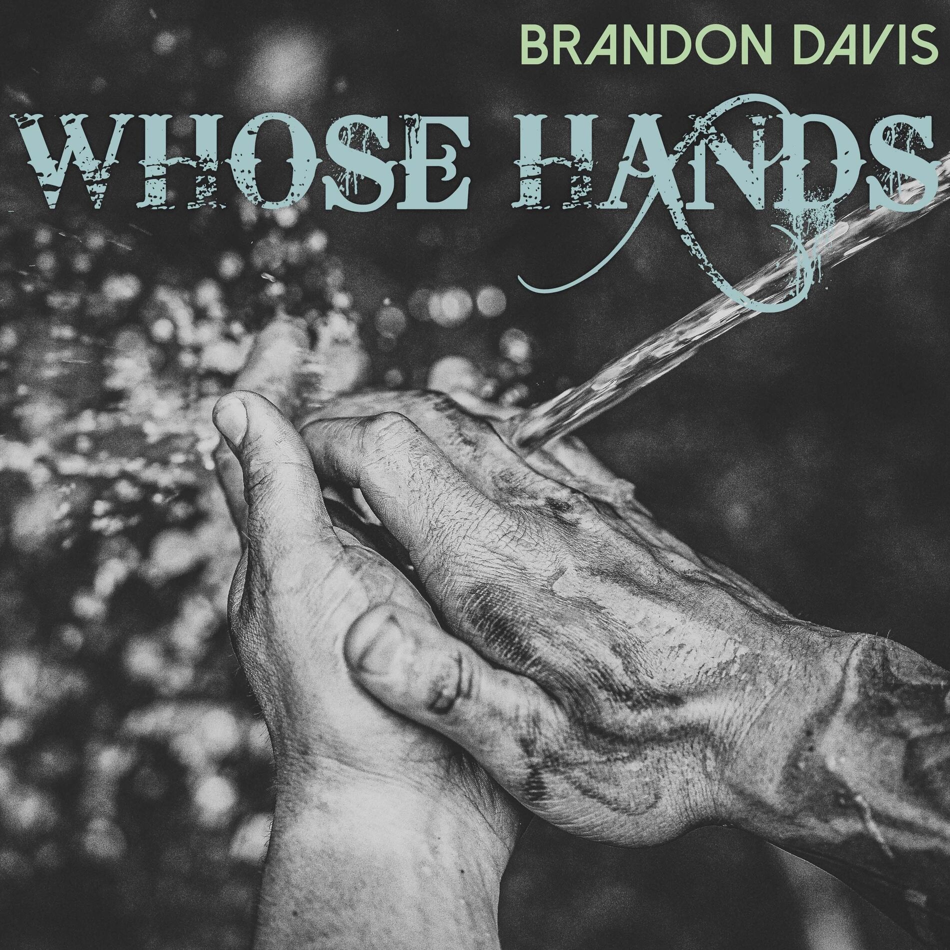 Album cover of Whose Hands