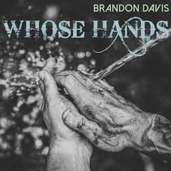 Cover of Whose Hands