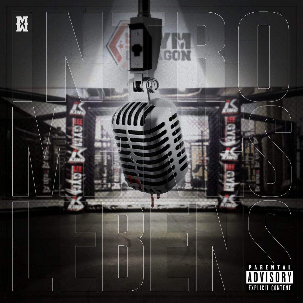 Album cover of Intro meines Lebens