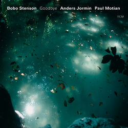 Cover of Goodbye