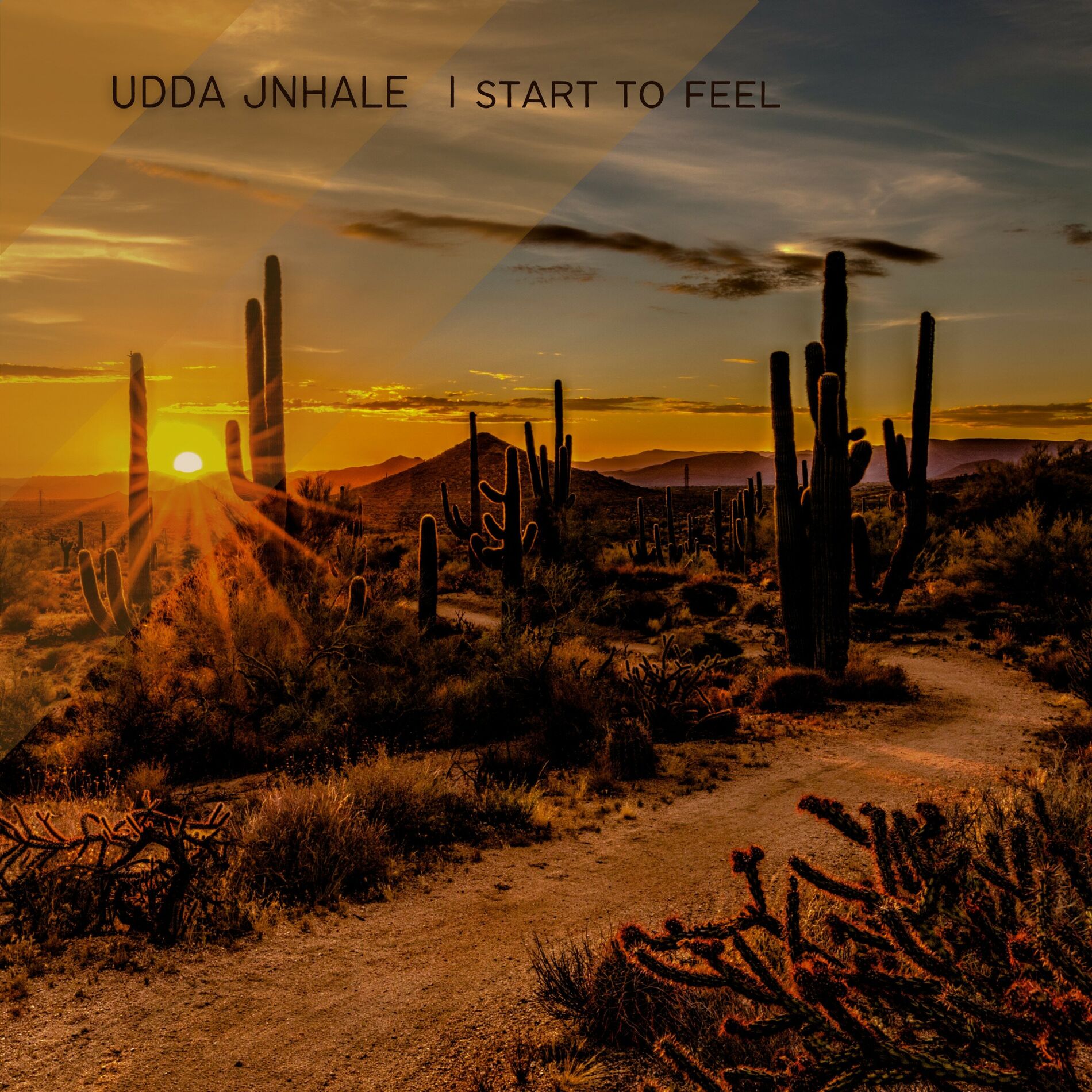 Album cover of I start to feel