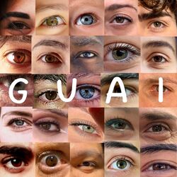Cover of GUAI