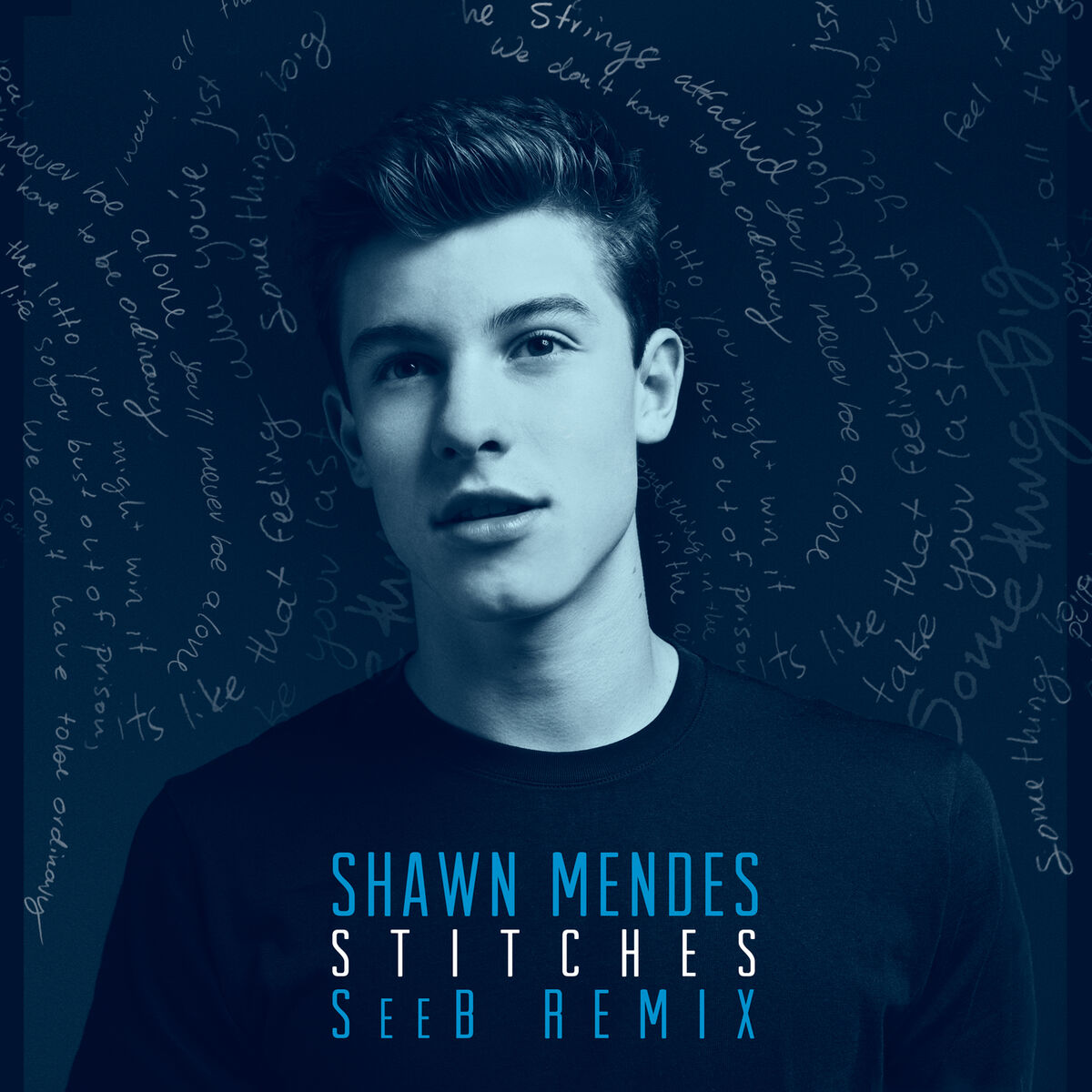 Album cover of Stitches