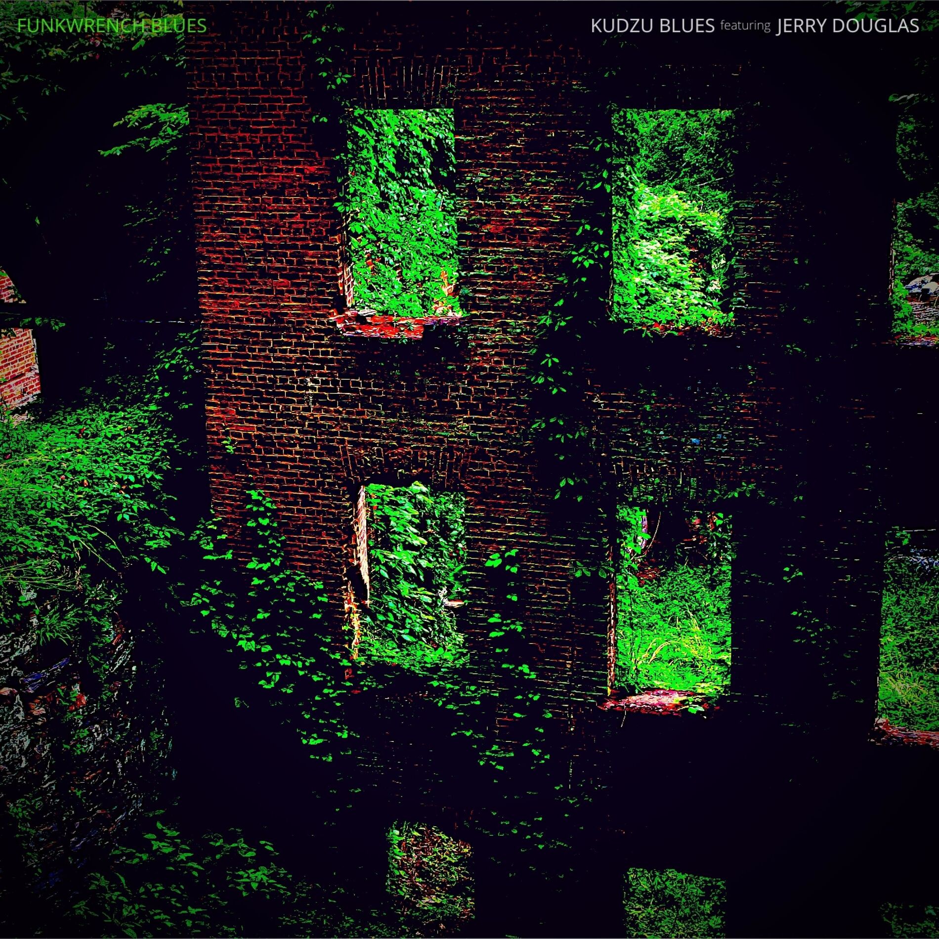 Album cover of Kudzu Blues (feat. Jerry Douglas)