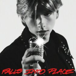 Cover of Falls Into Place