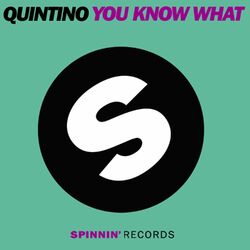 Cover of You Know What