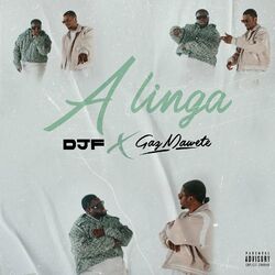 Cover of A Linga