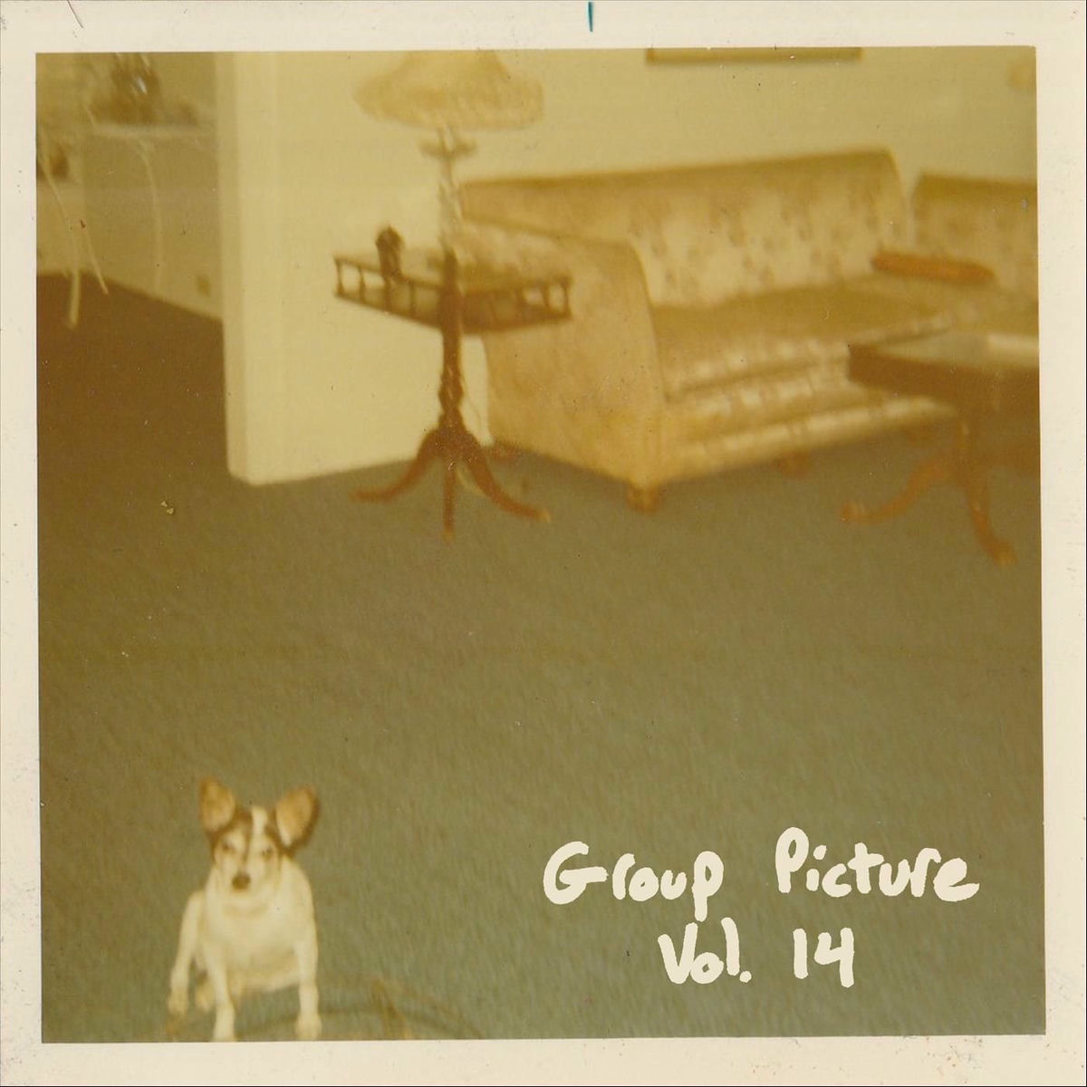 Album cover of Group Picture, Vol. 14