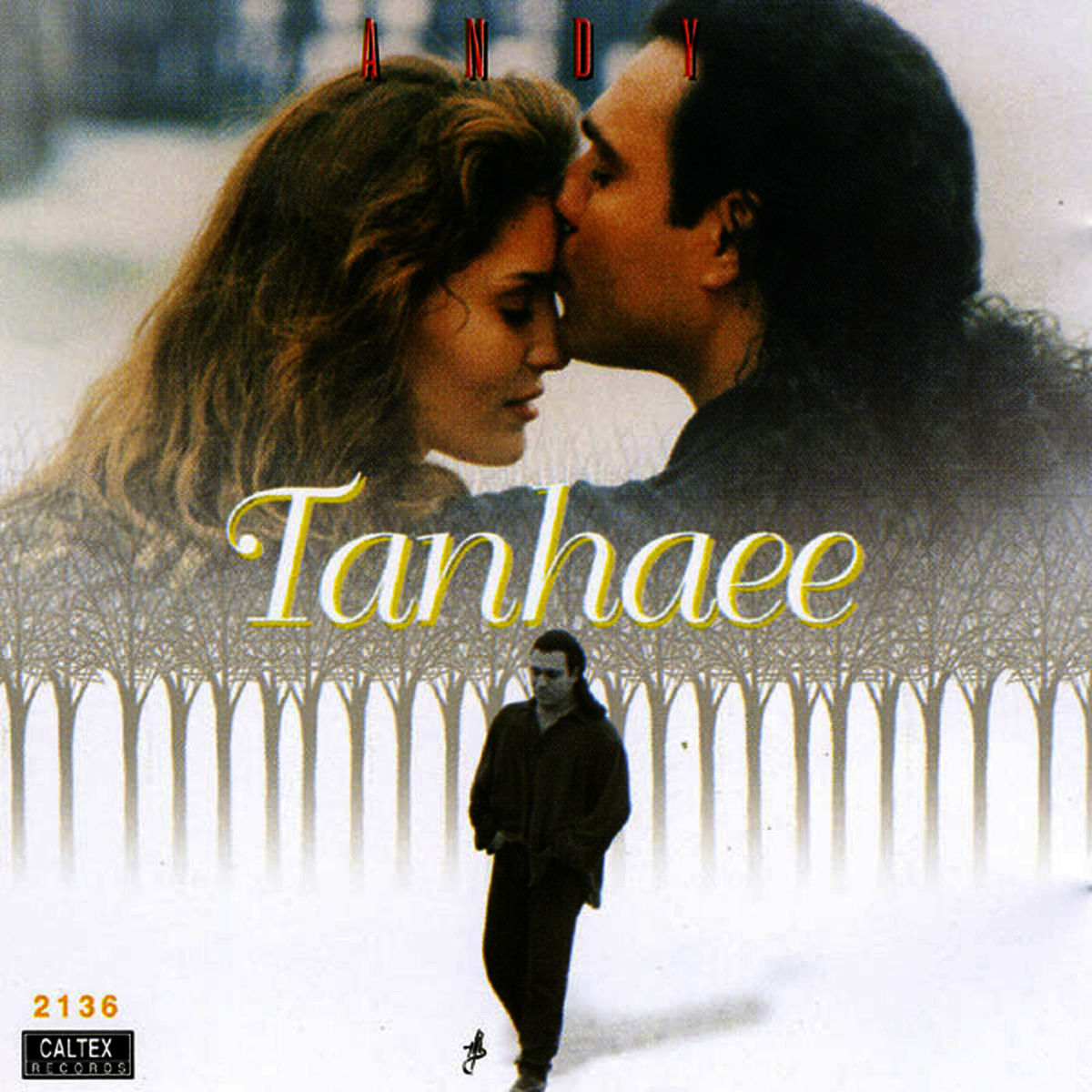 Album cover of Tanhaee - Persian Music