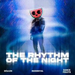 Cover of The Rhythm of the Night