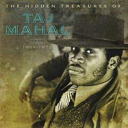 Cover of The Hidden Treasures Of Taj Mahal