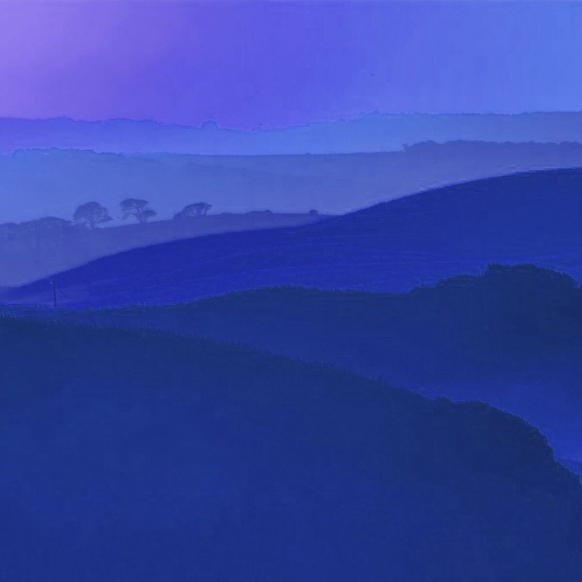 Album cover of Neela
