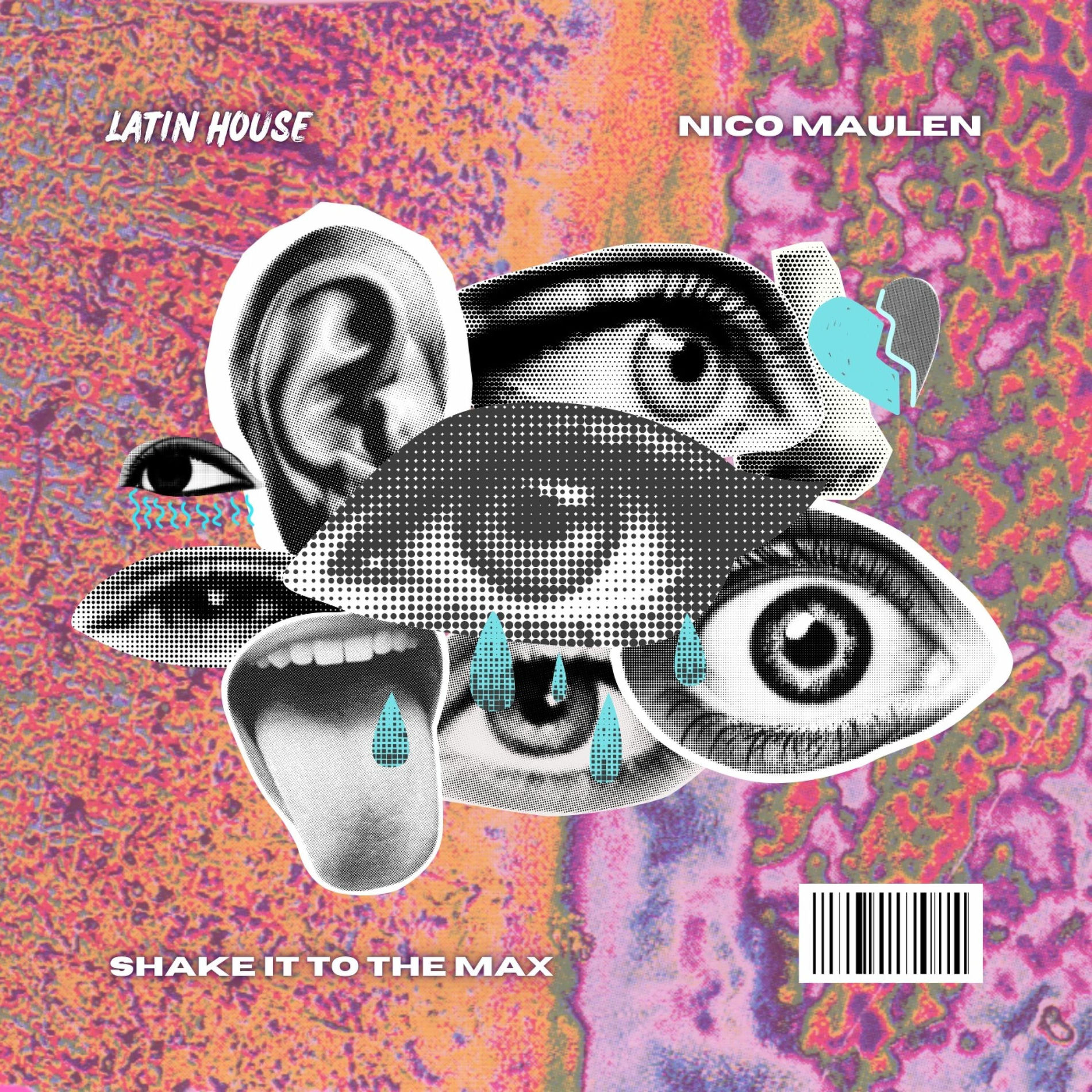 Album cover of Shake It To The Max (Radio Edit)