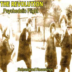 Cover of Psychedelic Flight