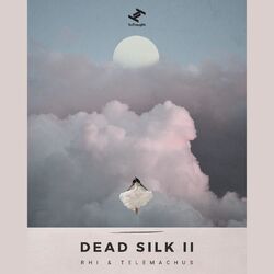 Cover of Dead Silk II
