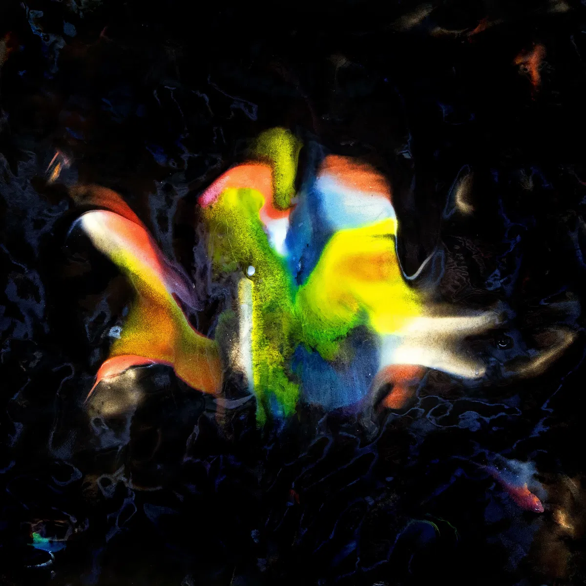 contrebande 02. le disque de l'été, Flavien Berger