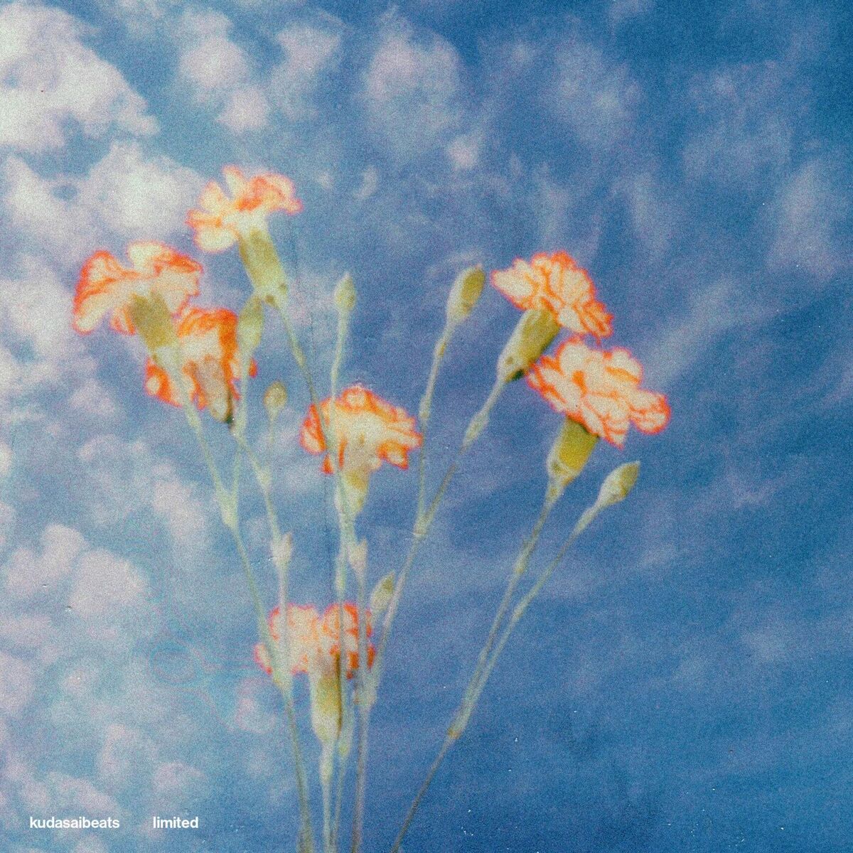 Album cover of Limited