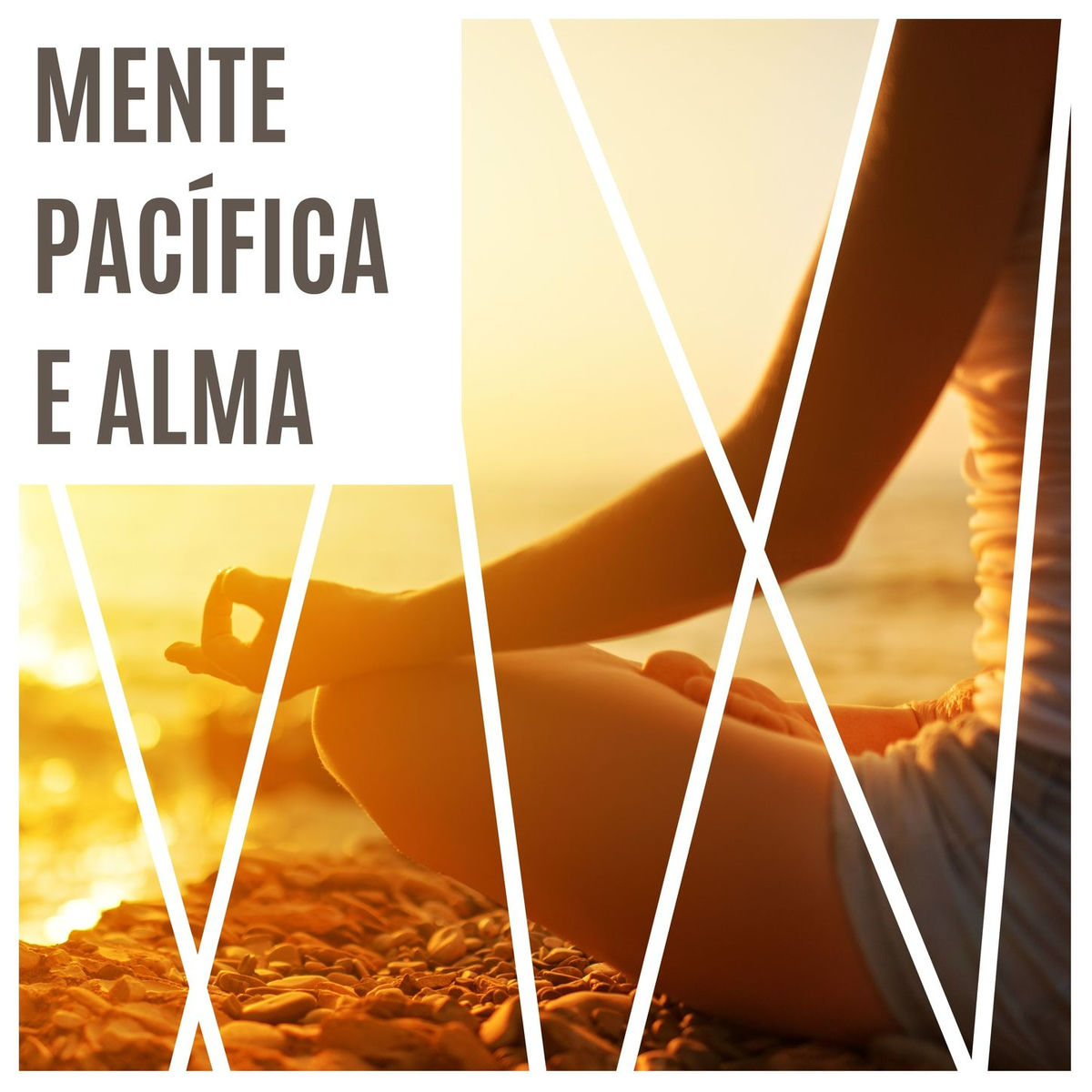 Album cover of Mente Pacífica e Alma: Taças Tibetanas Espirituais e Cantos Meditativos