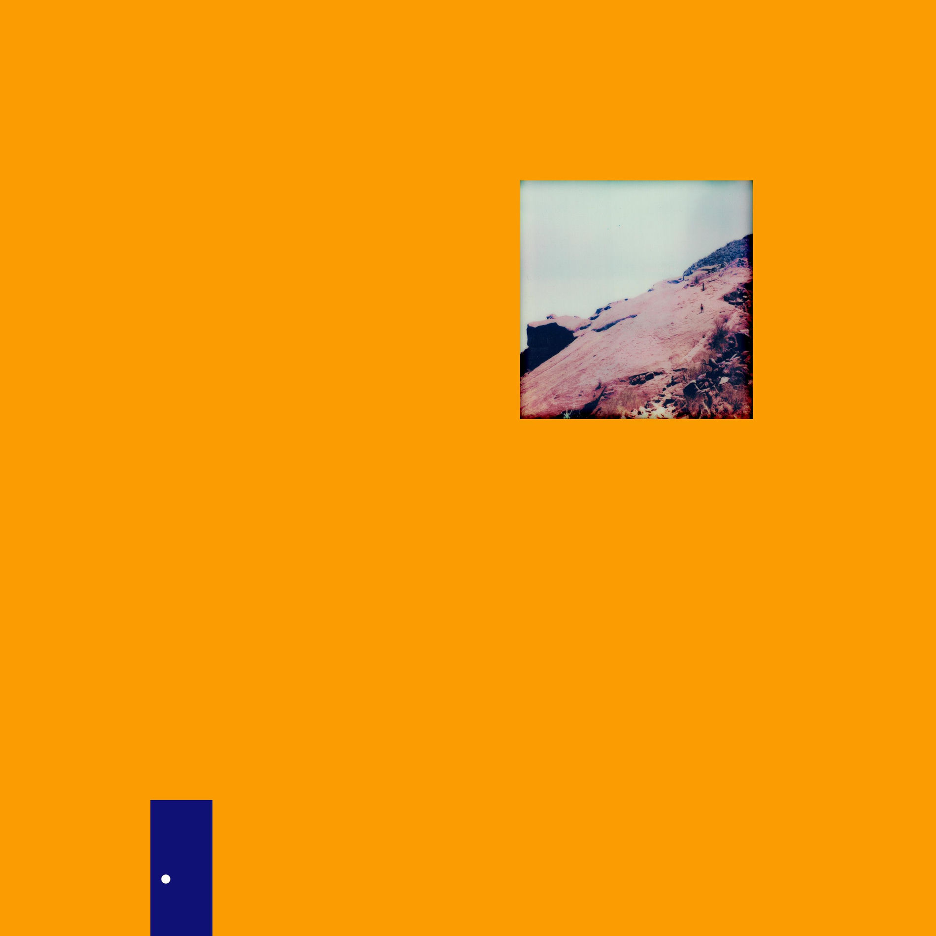 Album cover of R.F.I.