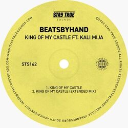 Cover of King Of My Castle
