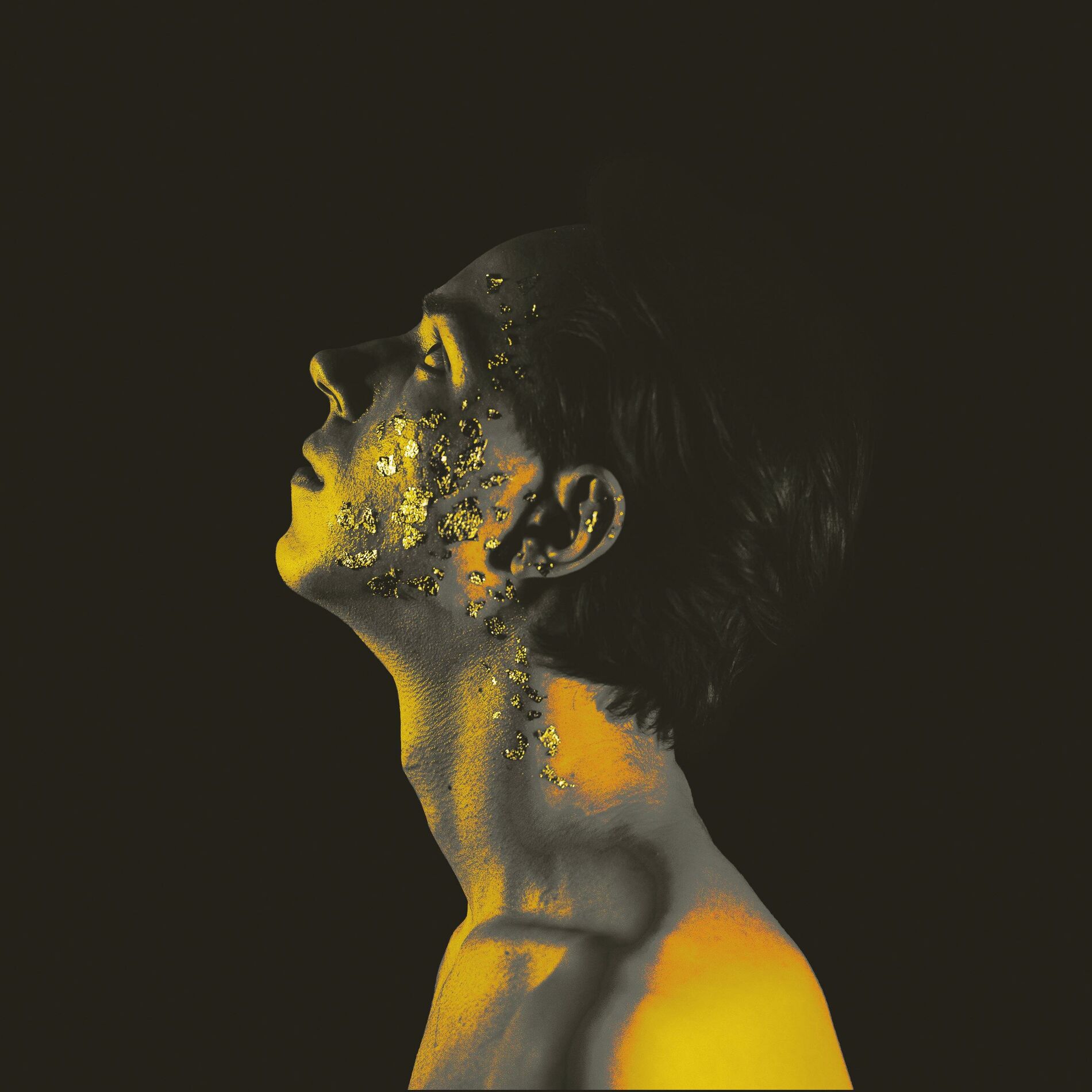 Album cover of Voices