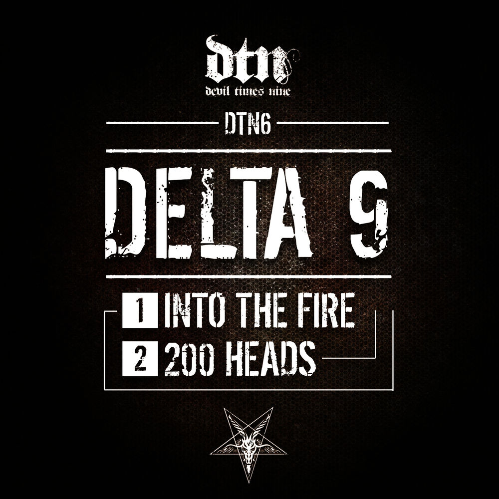 Picture of Into the Fire - 200 Heads