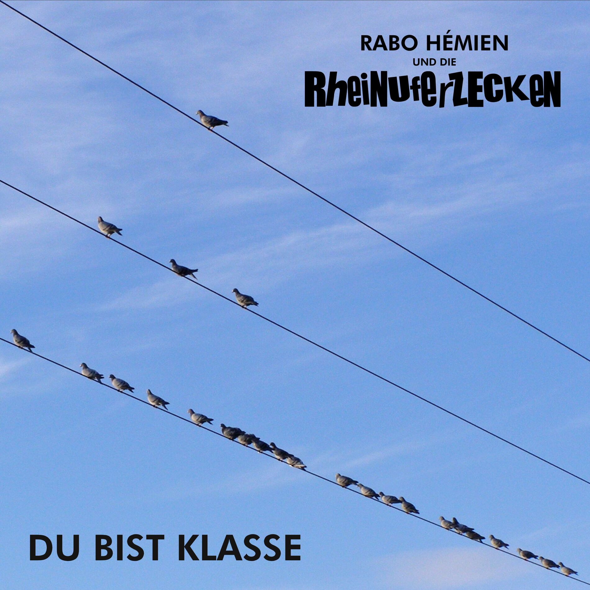 Album cover of Du bist Klasse
