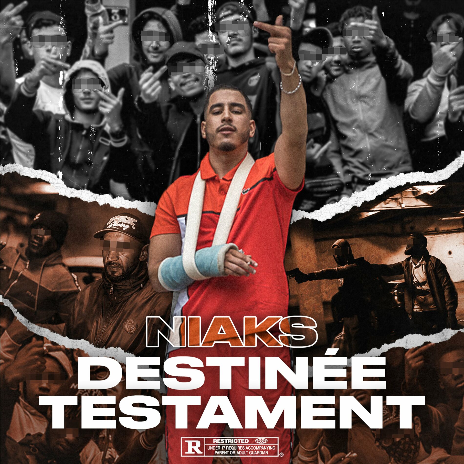 Album cover of Destinée Testament
