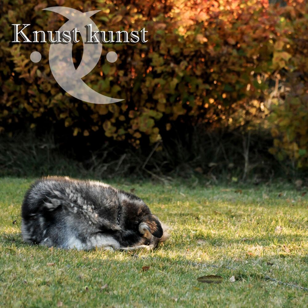 Picture of Knust Kunst
