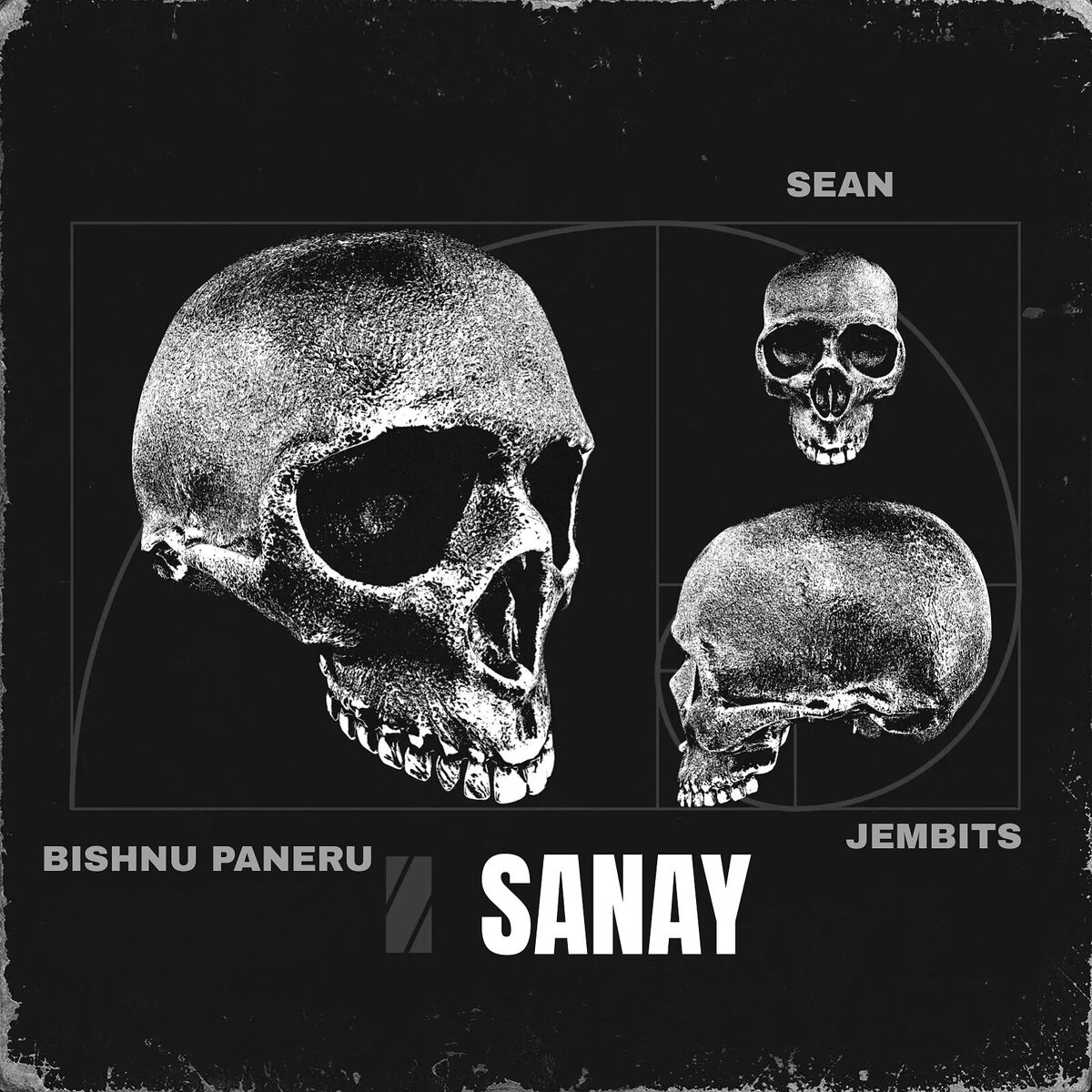 Album cover of Sanay