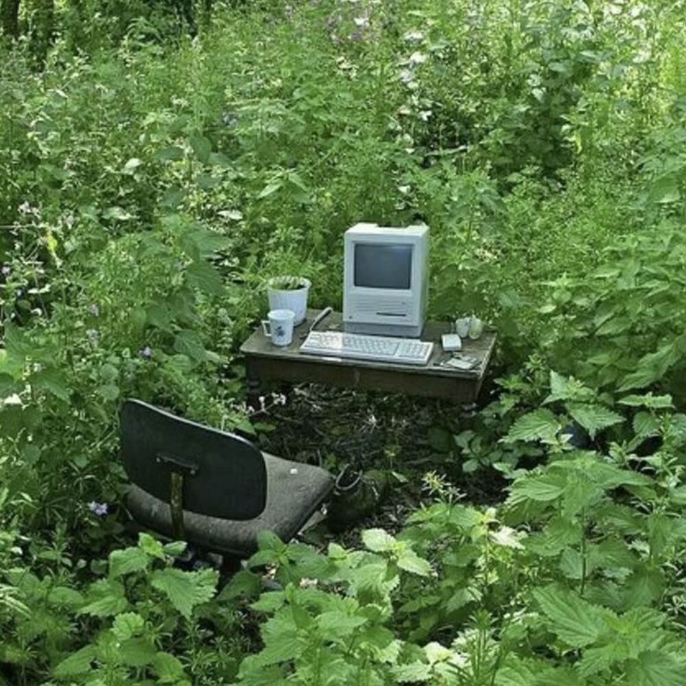 Picture of FEARLESS GROWTH