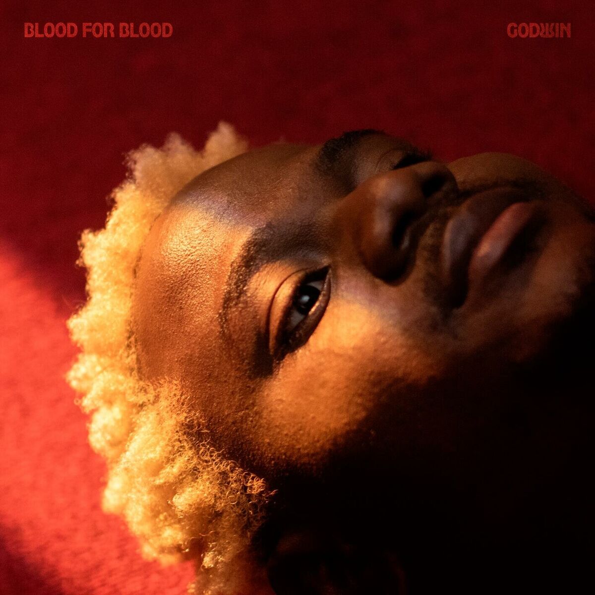 Album cover of Blood for Blood