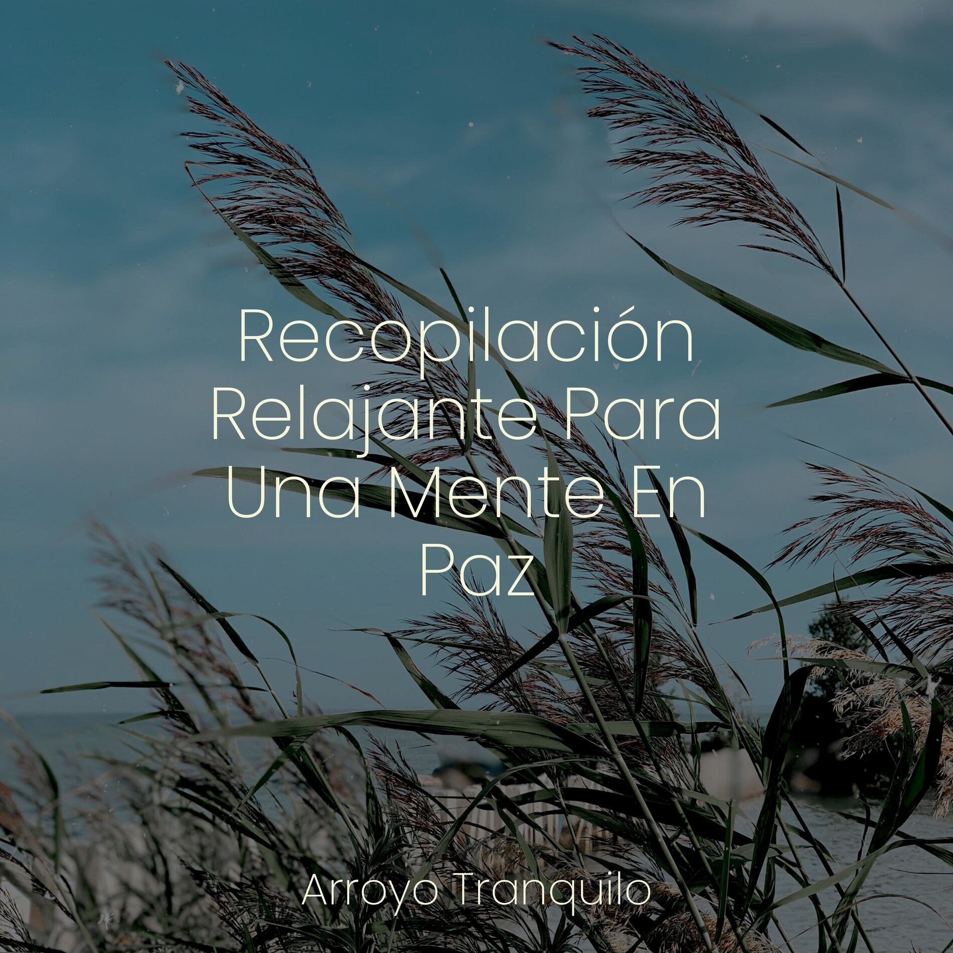 Album cover of Recopilación Relajante Para Una Mente En Paz
