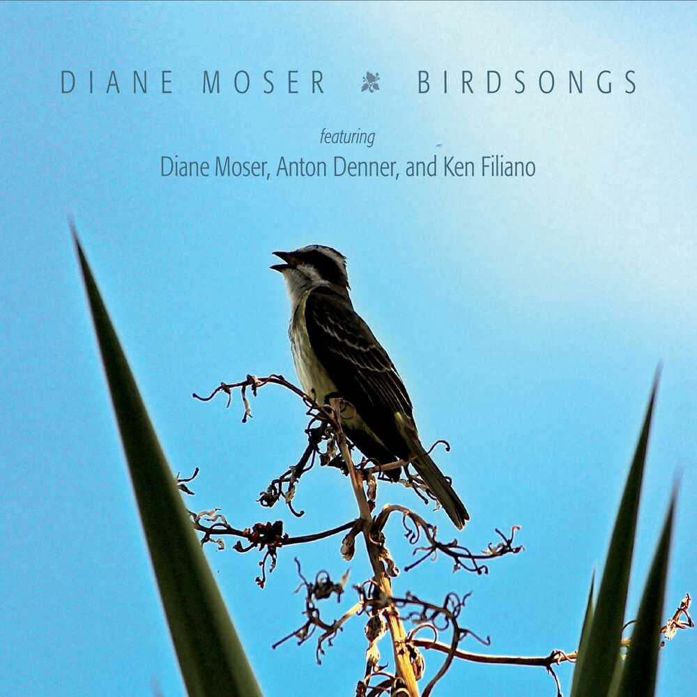 Picture of Birdsongs