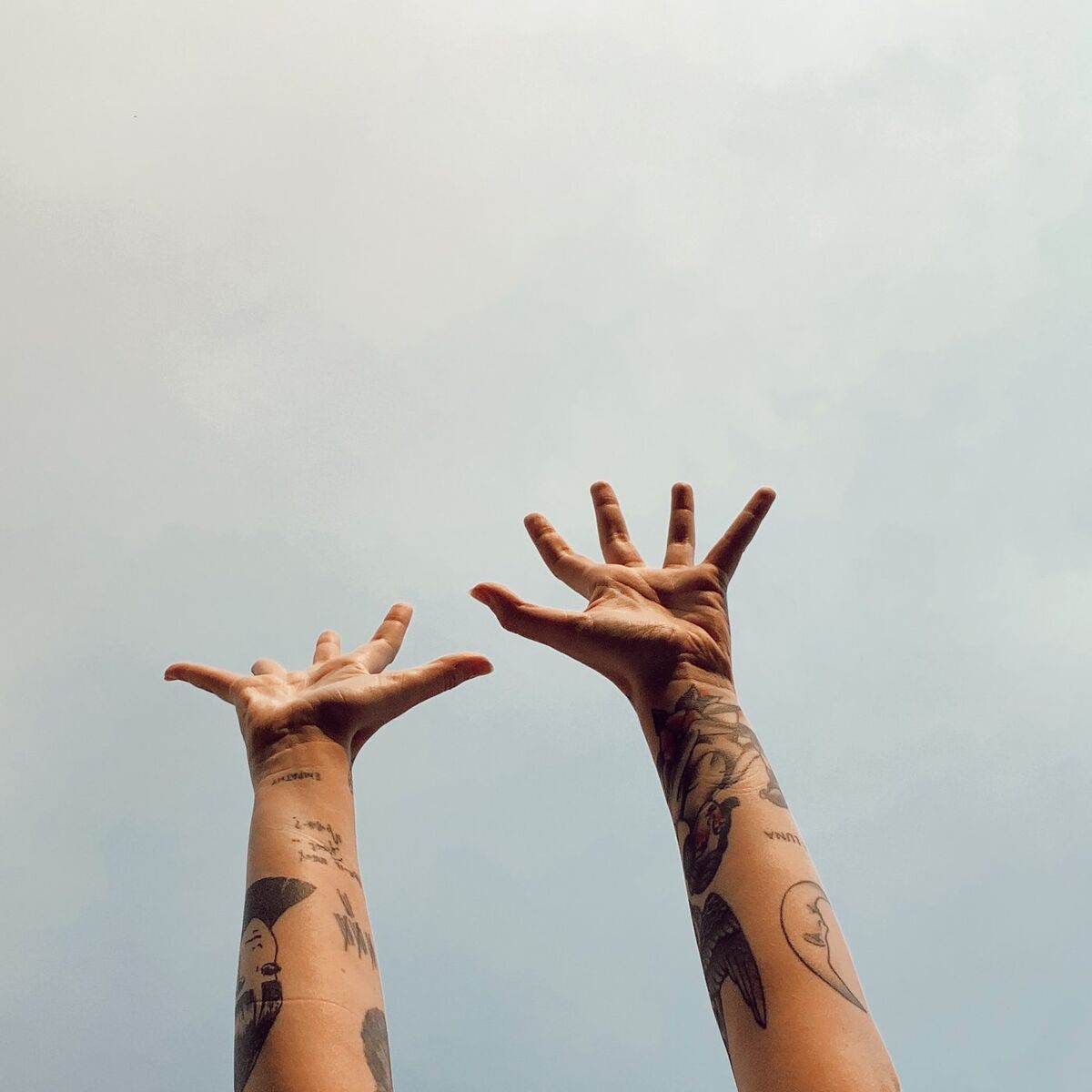 Album cover of HIGHER