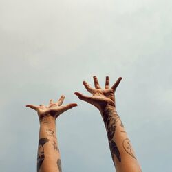 Cover of HIGHER