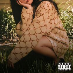Cover of Baby Cara