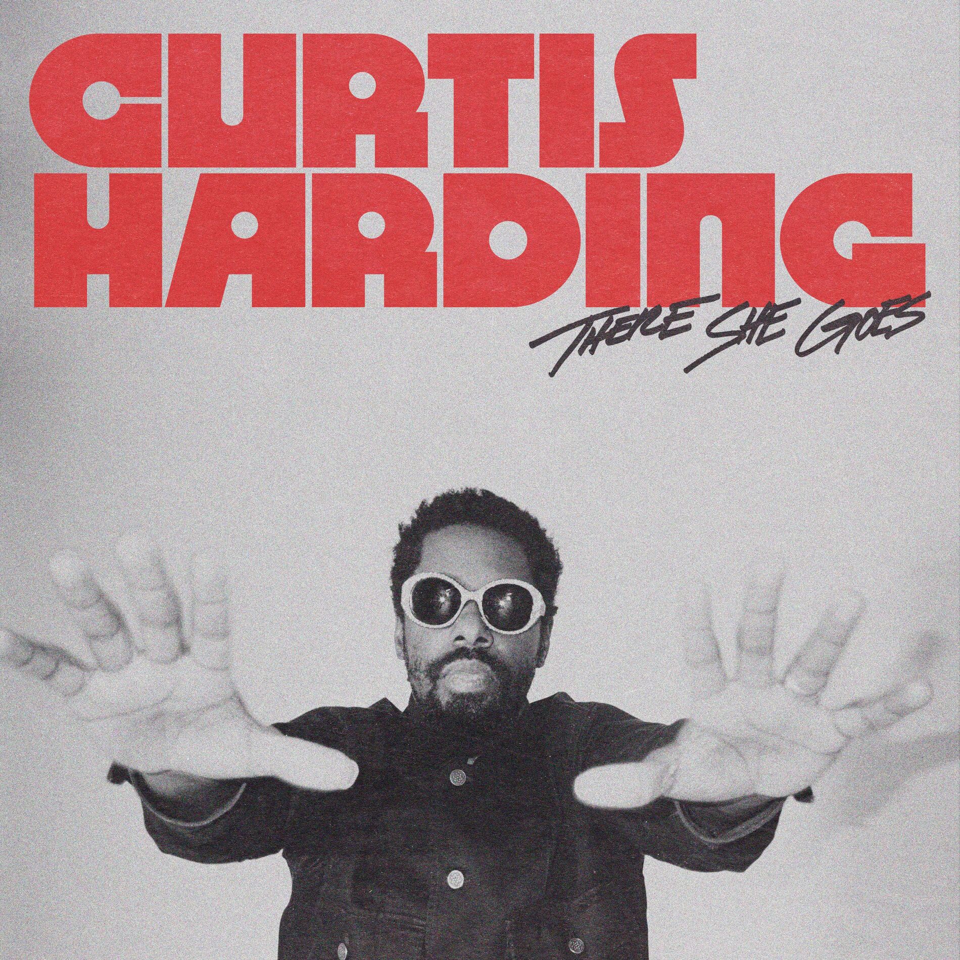 Album cover of There She Goes